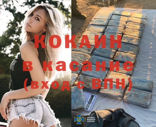 шишки Новодвинск