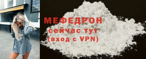 ECSTASY Богданович