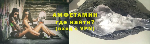 шишки Новодвинск