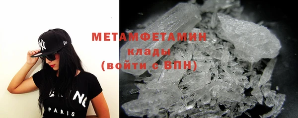 шишки Новодвинск