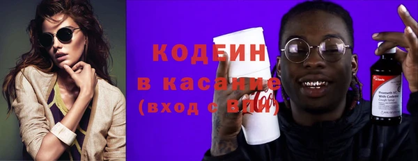 шишки Новодвинск