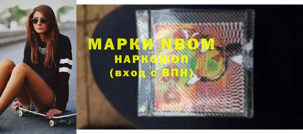 шишки Новодвинск