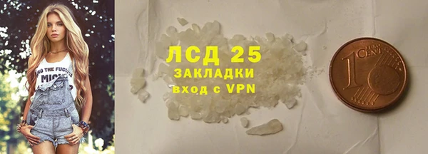 шишки Новодвинск