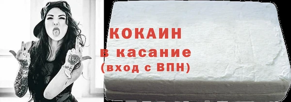 шишки Новодвинск