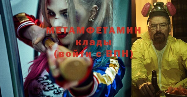 шишки Новодвинск