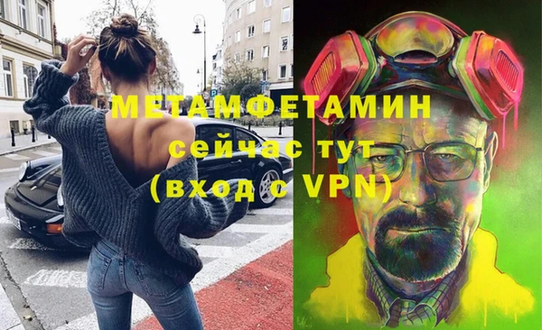 шишки Новодвинск