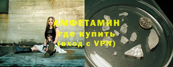 шишки Новодвинск