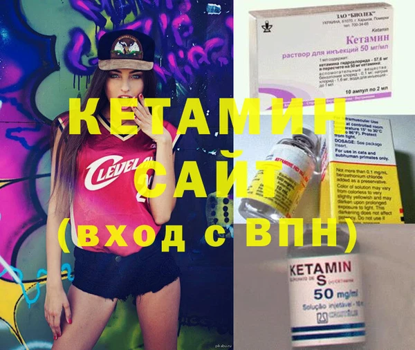 шишки Новодвинск