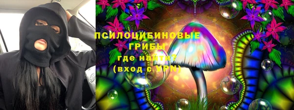 шишки Новодвинск