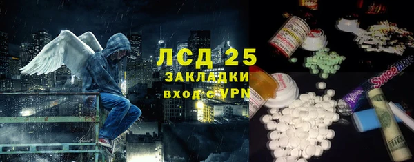 шишки Новодвинск