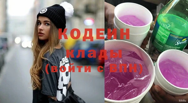шишки Новодвинск
