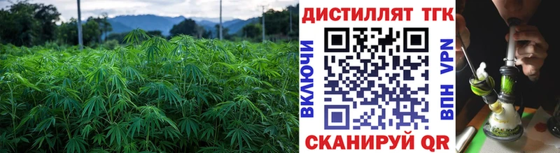 ТГК THC oil  Баксан 