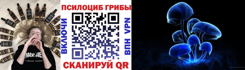 hydra зеркало  Баксан  даркнет состав  Галлюциногенные грибы MAGIC MUSHROOMS 