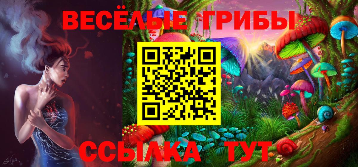 где купить наркотик  Баксан  Галлюциногенные грибы Cubensis 