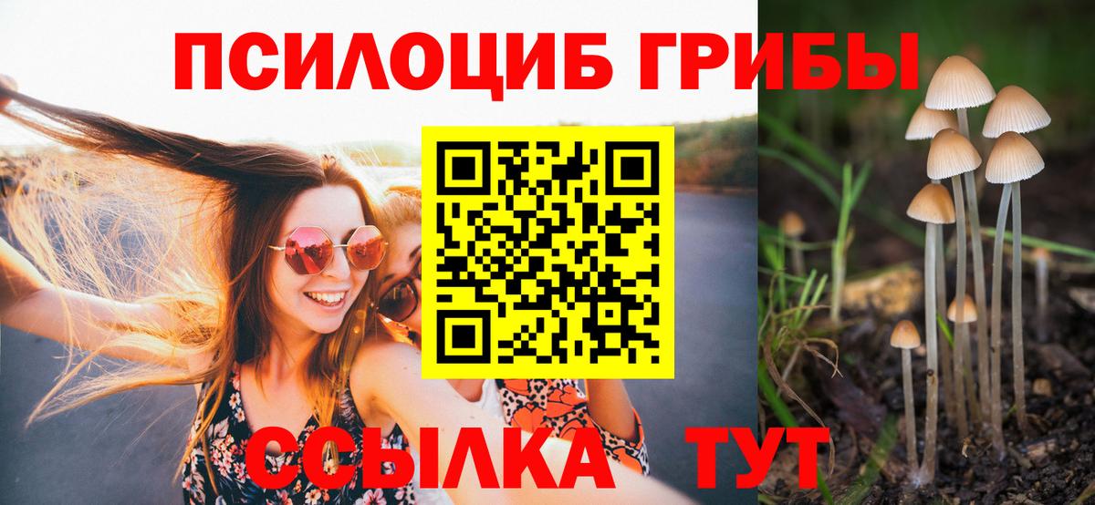 Галлюциногенные грибы мухоморы Баксан