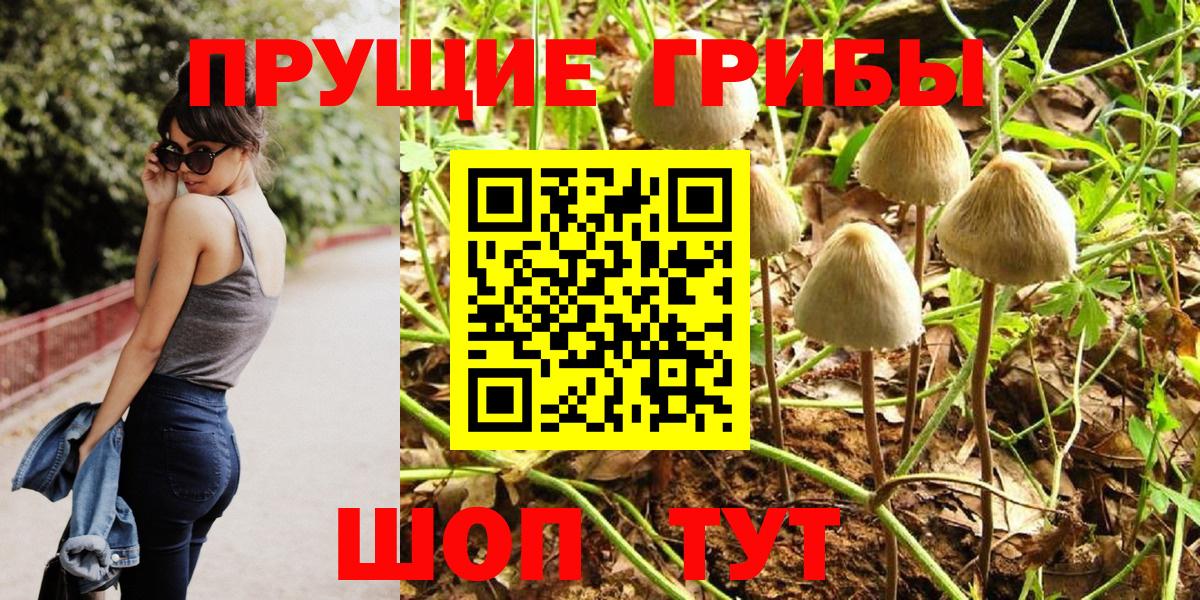 Псилоцибиновые грибы мухоморы Баксан